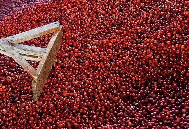 20190712_033032284_iOS