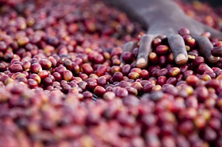 20190712_033035513_iOS