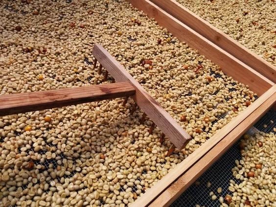 20190712_033352535_iOS