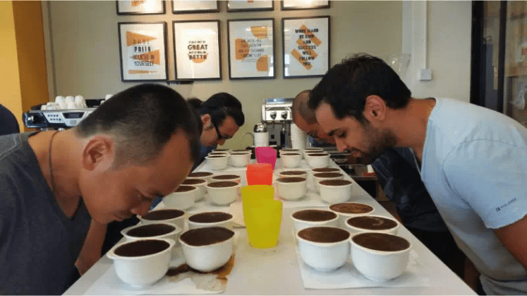 20190712_033821417_iOS