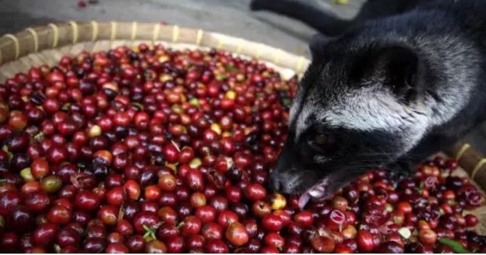 20190712_033906967_iOS