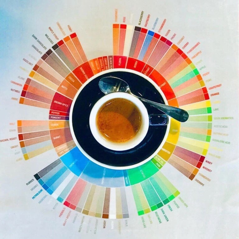 20190810_034530493_iOS