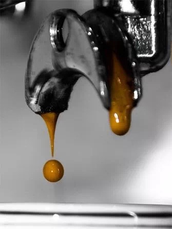 20190812_034338698_iOS