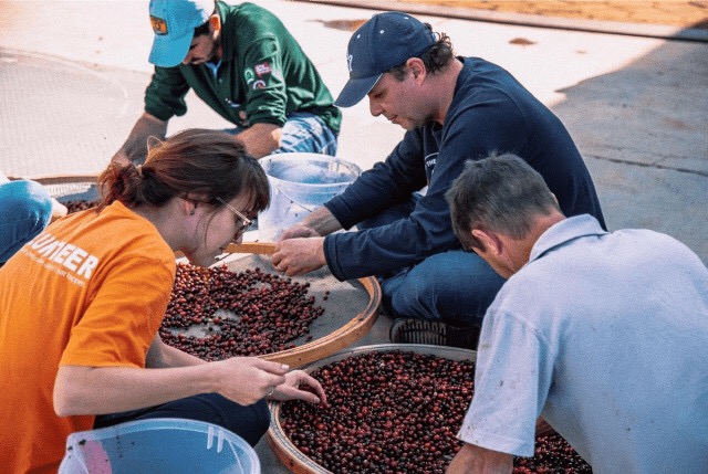 20190812_034438121_iOS