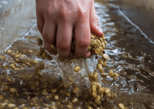 20190812_034441338_iOS