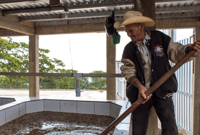 20190812_034451674_iOS