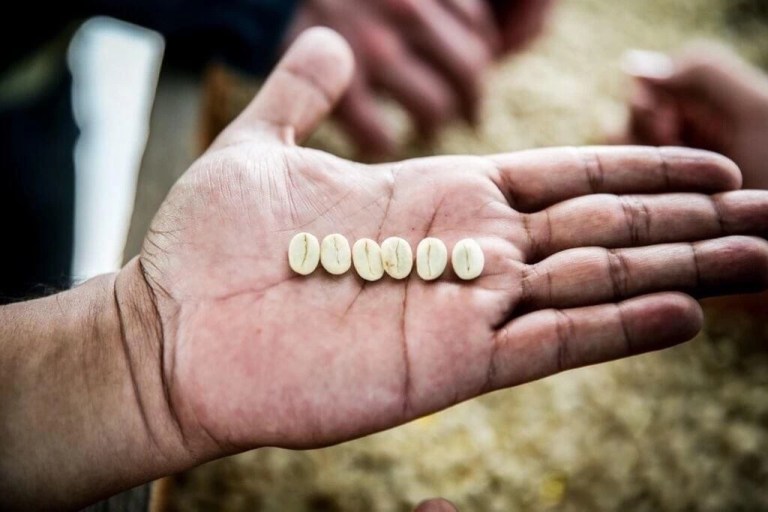 20190812_034521274_iOS