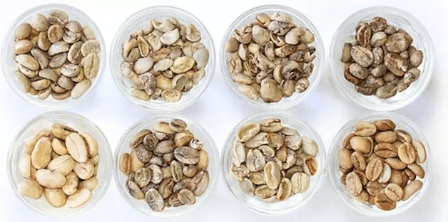 20190812_034535260_iOS