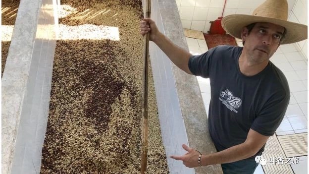 20190819_021245975_iOS