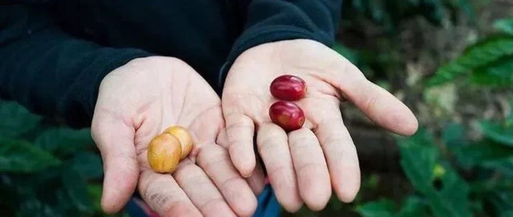 20190911_150626788_iOS