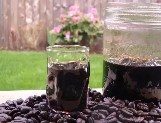 20190911_150632645_iOS