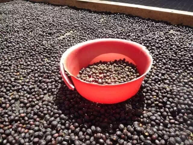 20190928_040856540_iOS