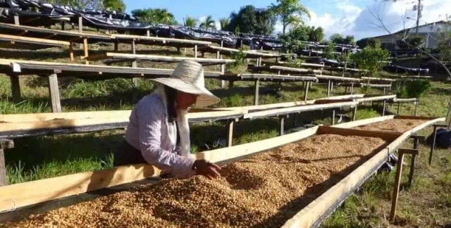 20190928_040859553_iOS