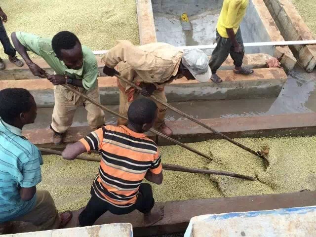 20190928_040902594_iOS