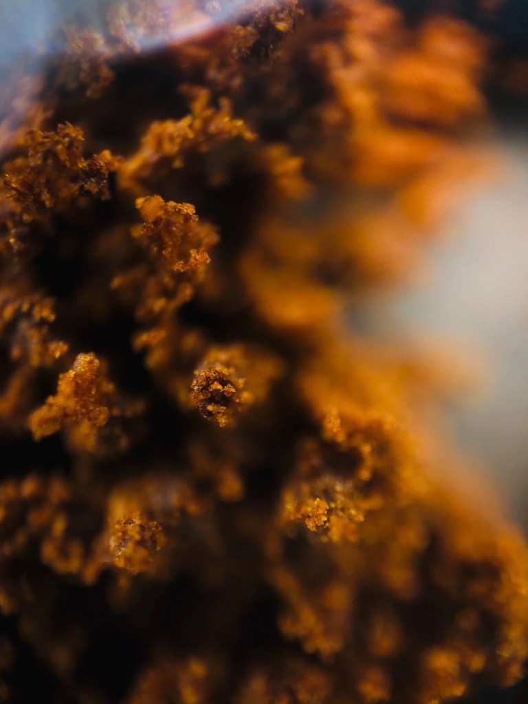 20191003_040508416_iOS