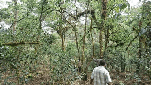 20191008_111211962_iOS