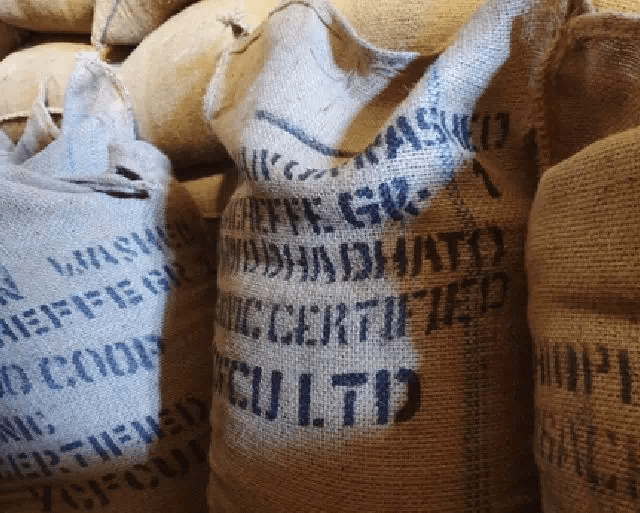 20191008_111224760_iOS