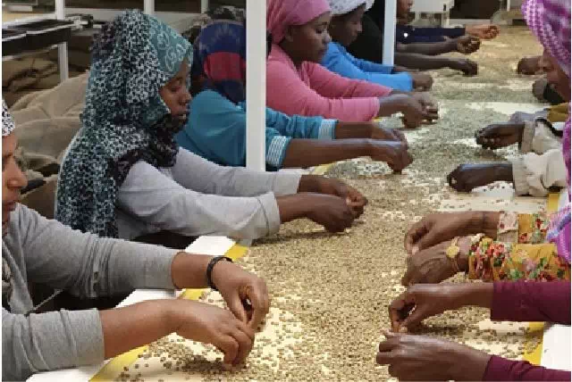 20191008_111235174_iOS