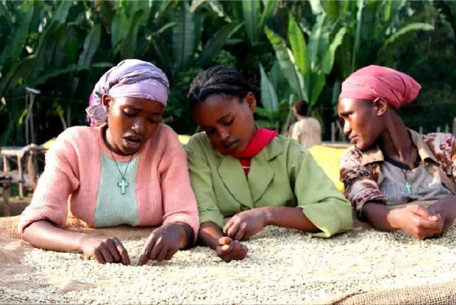 20191008_111250801_iOS