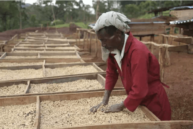 20191008_111300929_iOS