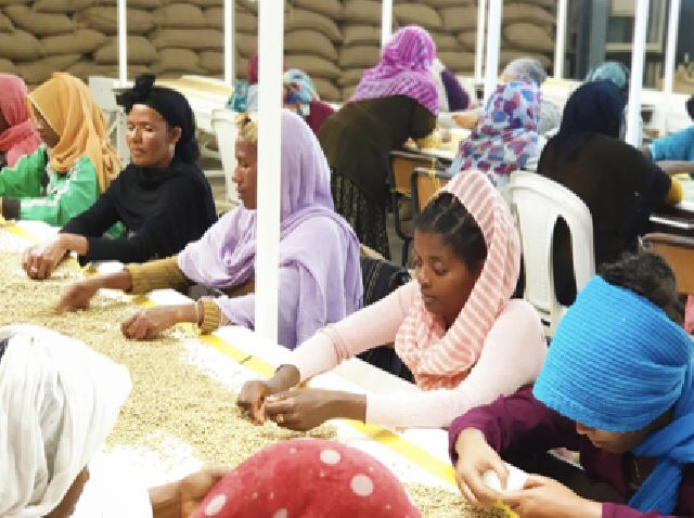 20191008_111303844_iOS