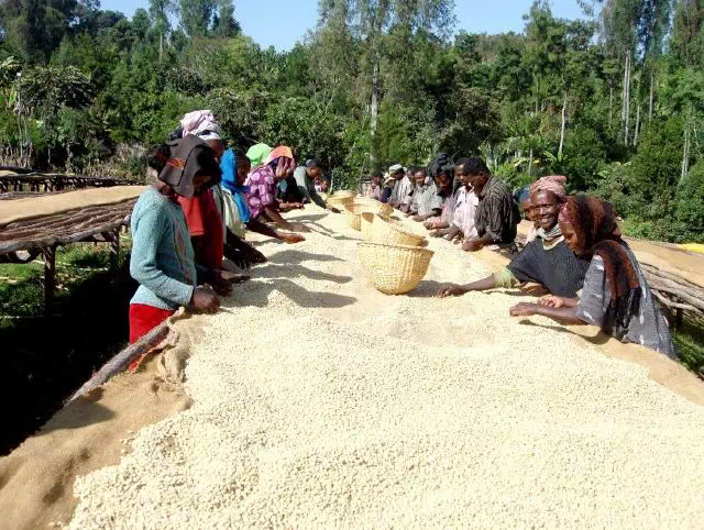 20191008_111307092_iOS