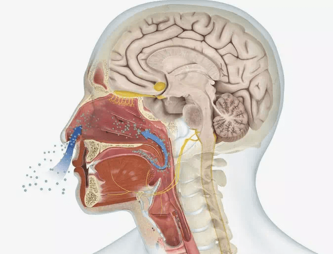 20191103_033447921_iOS