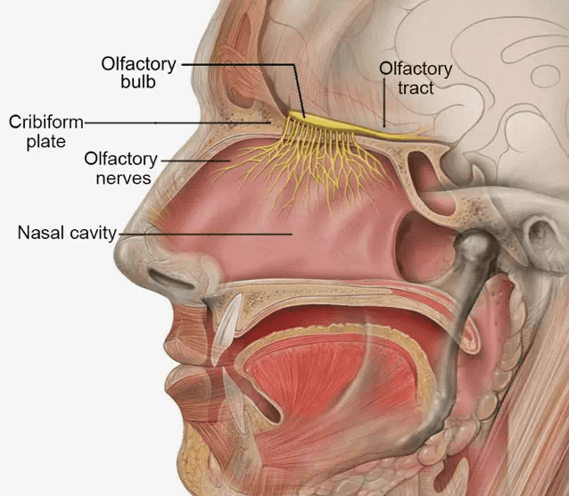 20191103_033450970_iOS