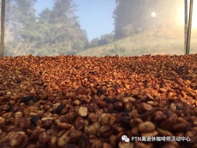 20191125_055850894_iOS