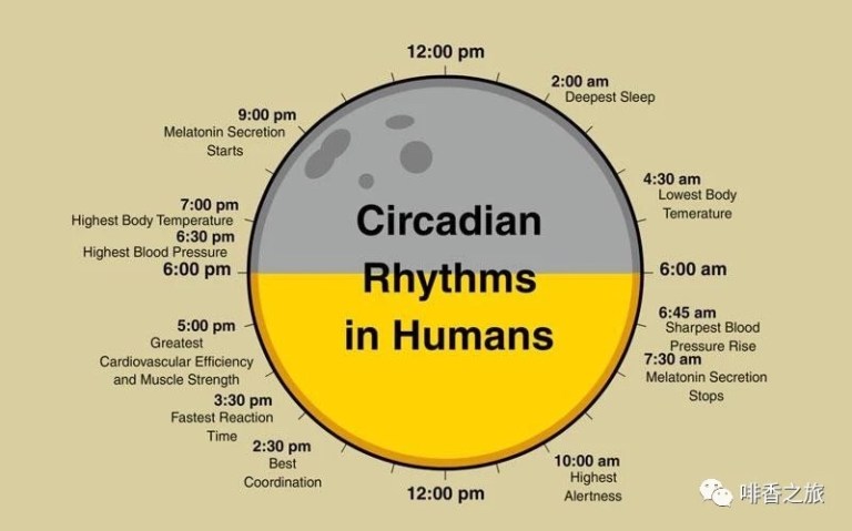 20191125_060116711_iOS