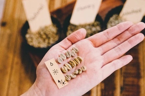 20191125_060606322_iOS