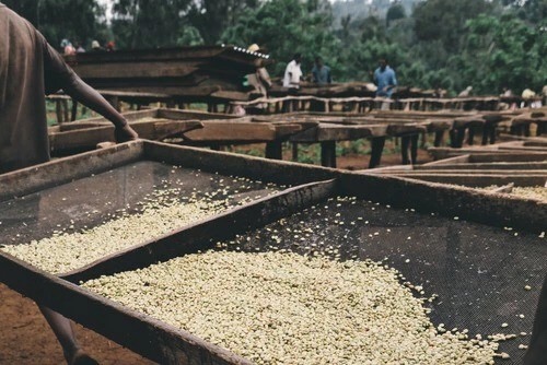 20191125_060612518_iOS