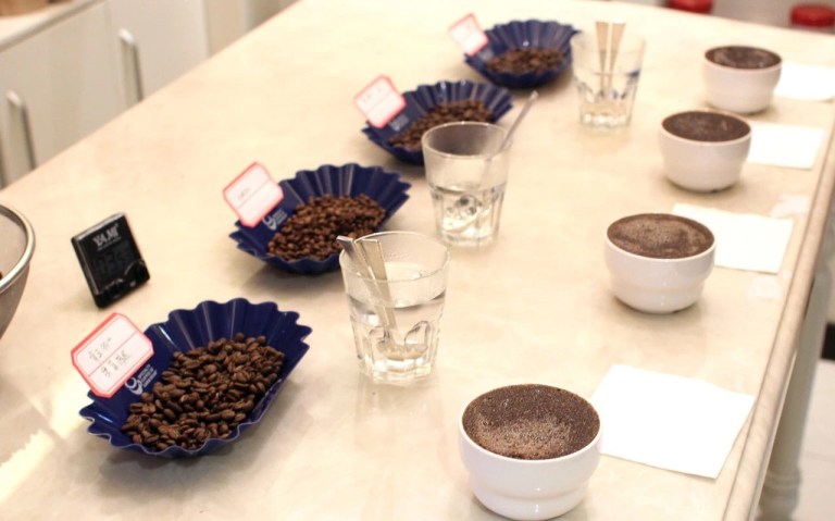 20191125_061306325_iOS