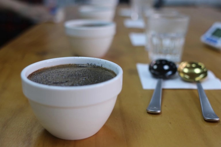 20191125_061309528_iOS