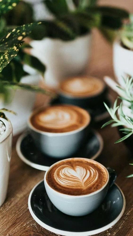 20191125_061430545_iOS