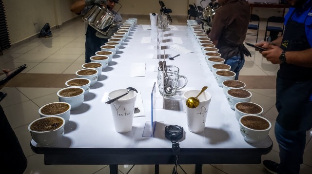 20191209_234208107_iOS