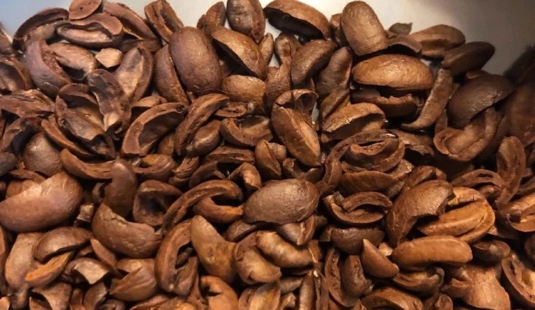 20191209_234529059_iOS