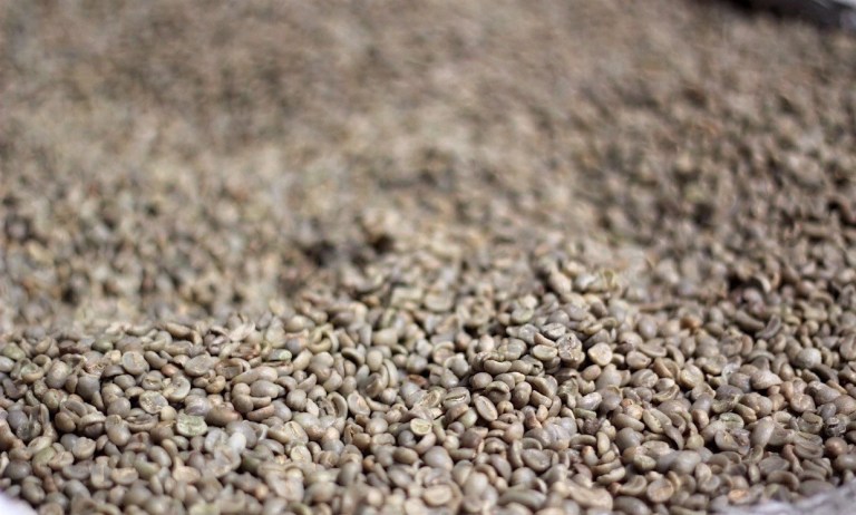 20191209_234658734_iOS