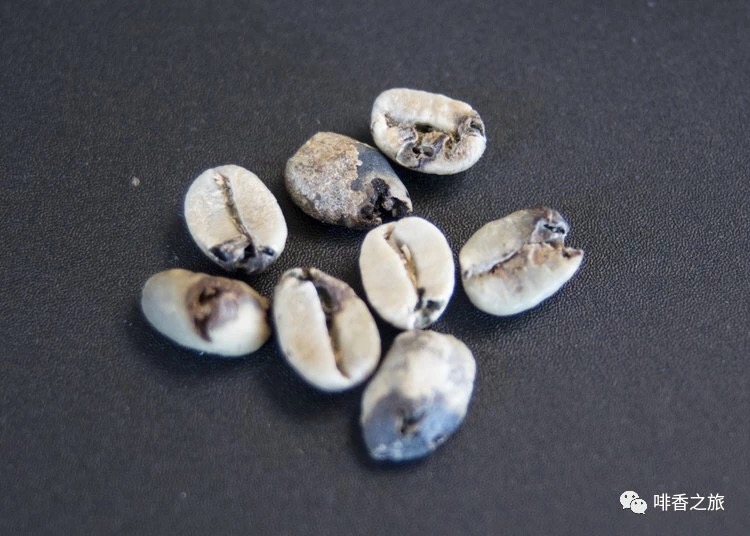 20191209_234705409_iOS