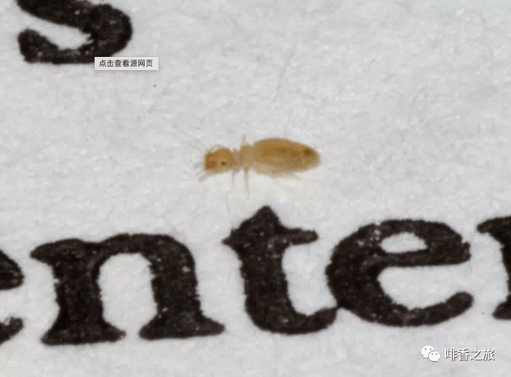 20191209_234708477_iOS