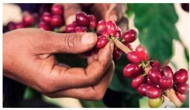 20191209_234821690_iOS