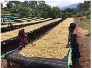 20191209_234824763_iOS