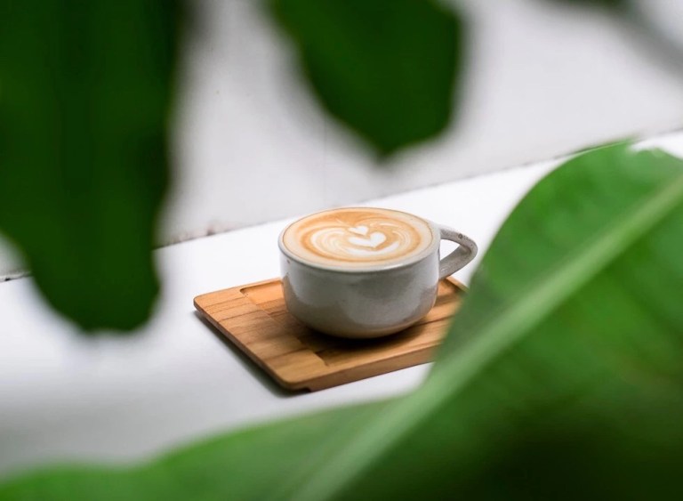 20191227_044329809_iOS