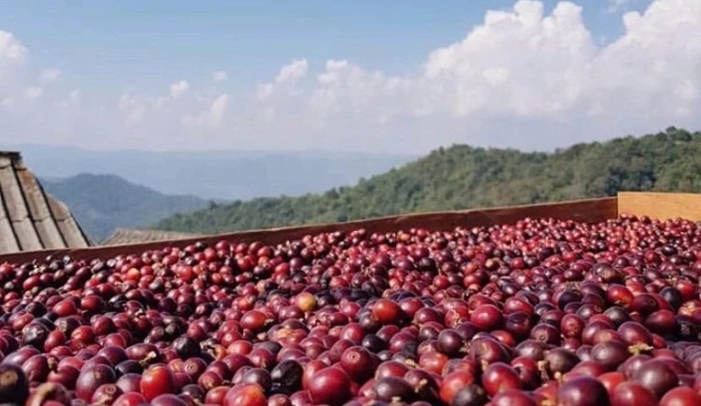 20191227_044754131_iOS