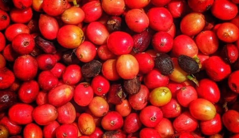 20191227_044757455_iOS