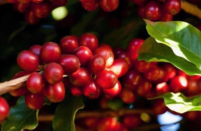 20191227_044807431_iOS