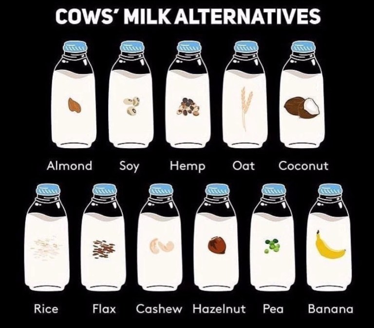 20200130_042953872_iOS