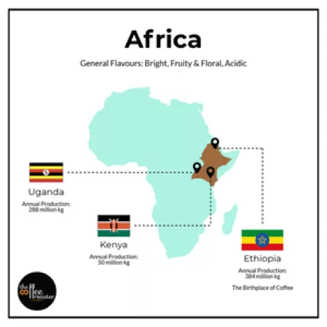 20200130_043501439_iOS