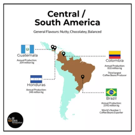 20200130_043507501_iOS