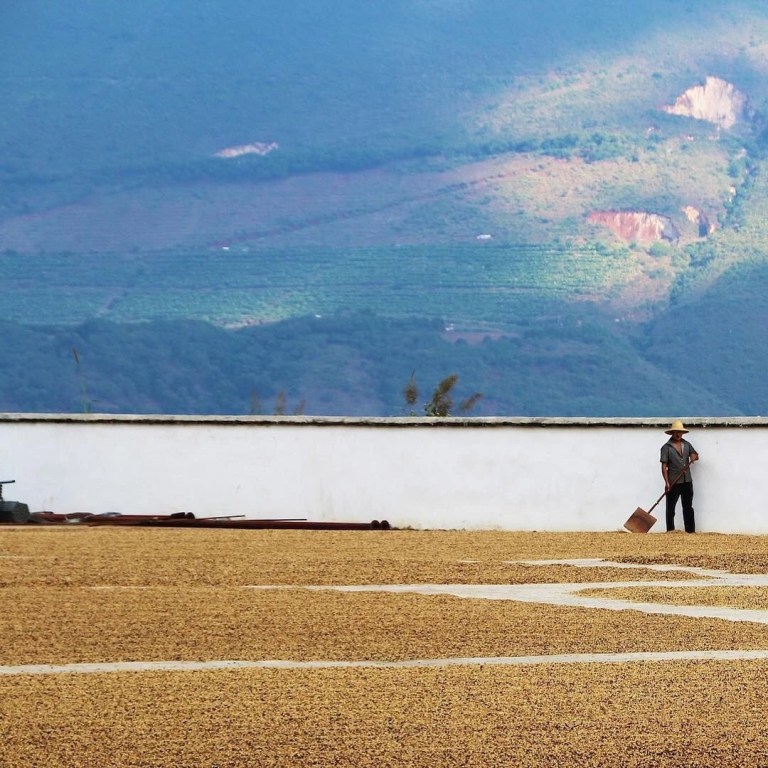 20200130_043516625_iOS